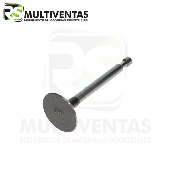 Válvula de admisión